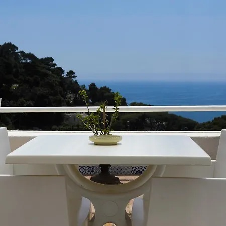 Calypso Bed & Breakfast