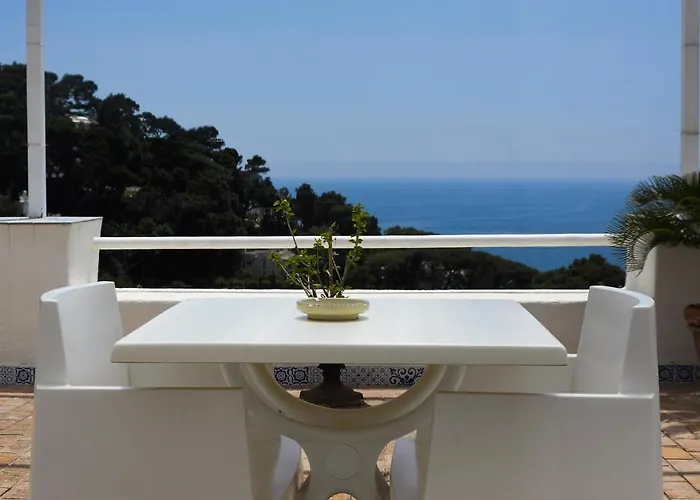 Calypso Bed & Breakfast