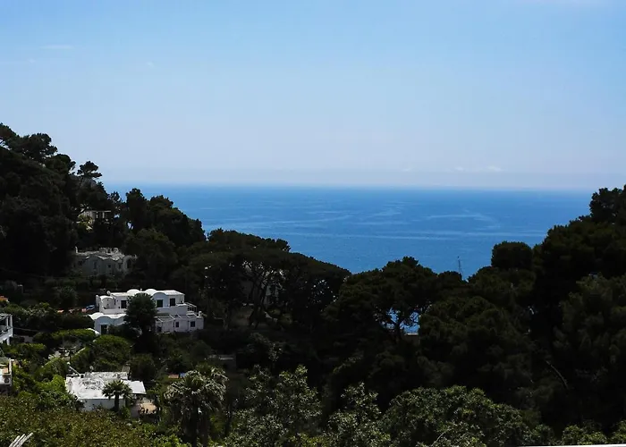 Bed & Breakfast Calypso 4*